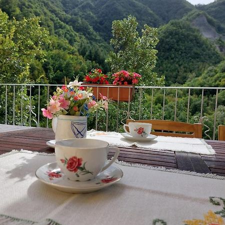 B&B Donnini Firenzuola Luaran gambar