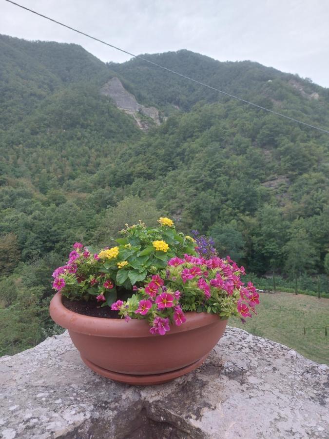 B&B Donnini Firenzuola Luaran gambar