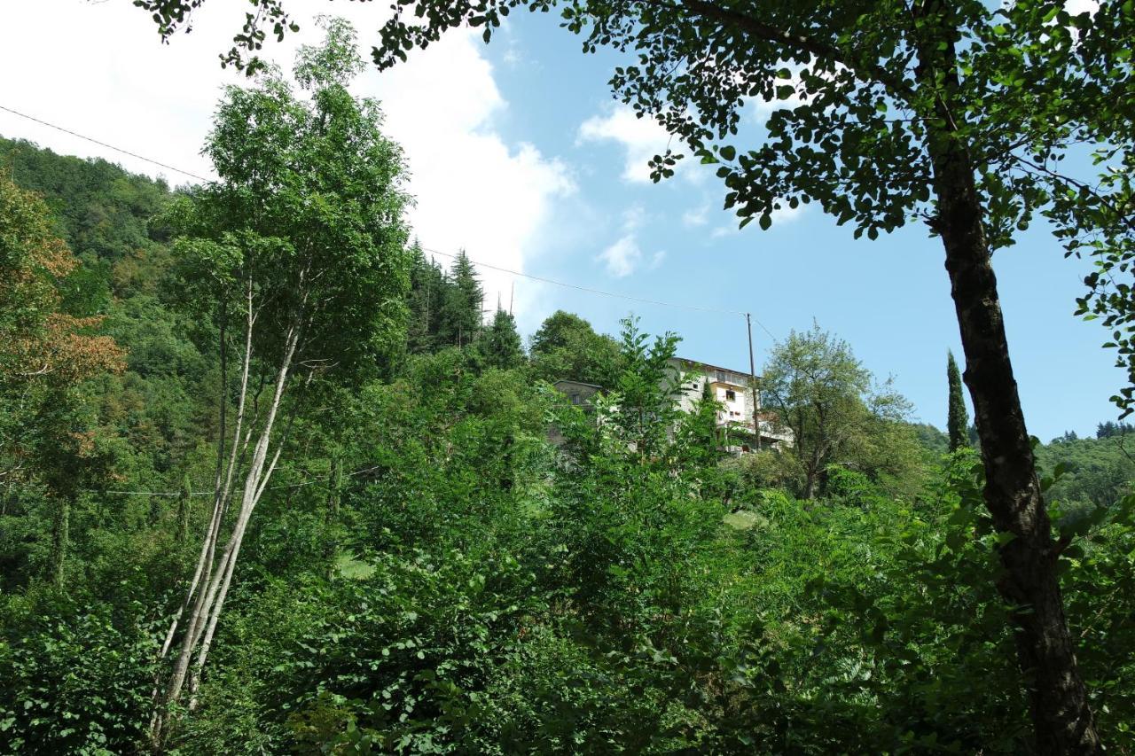B&B Donnini Firenzuola Luaran gambar