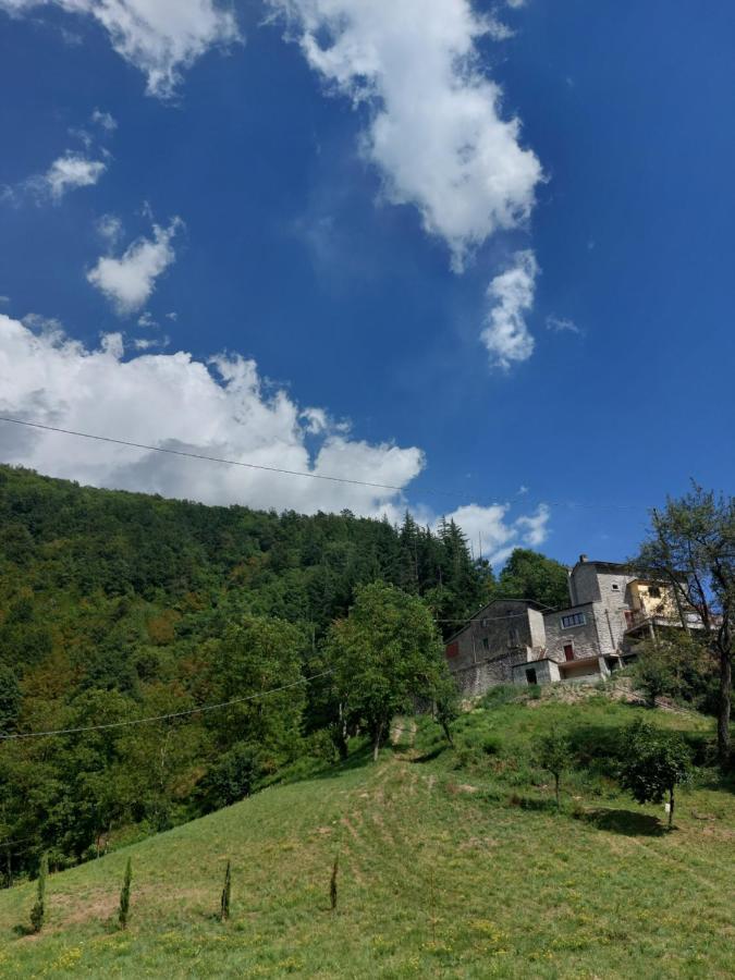 B&B Donnini Firenzuola Luaran gambar